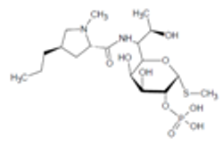 Lincomycin 2 Phosphate