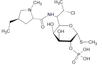 Clindamycin B 2 Phosphate
