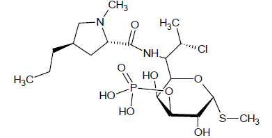 Clindamycin 3 Phosphate