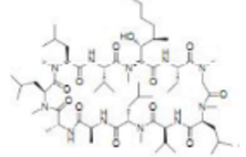 Dihydrocyclosporin E